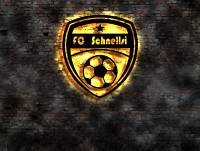 Fu&szlig;ball Logo